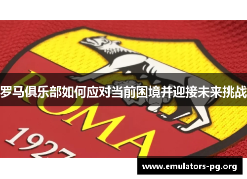 罗马俱乐部如何应对当前困境并迎接未来挑战