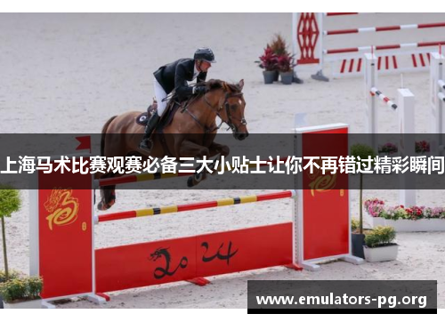 上海马术比赛观赛必备三大小贴士让你不再错过精彩瞬间