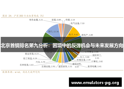 北京首钢排名第九分析：困境中的反弹机会与未来发展方向