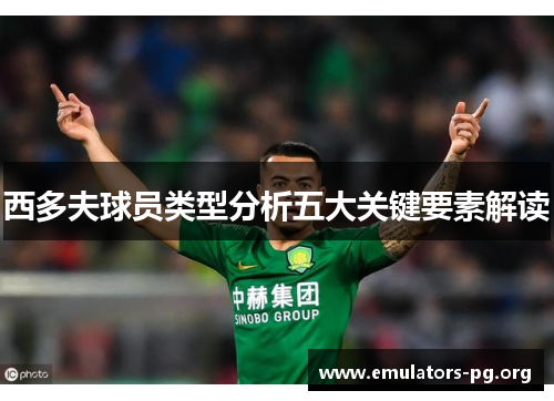 西多夫球员类型分析五大关键要素解读