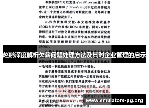 赵鹏深度解析欠薪问题处理方法及其对企业管理的启示