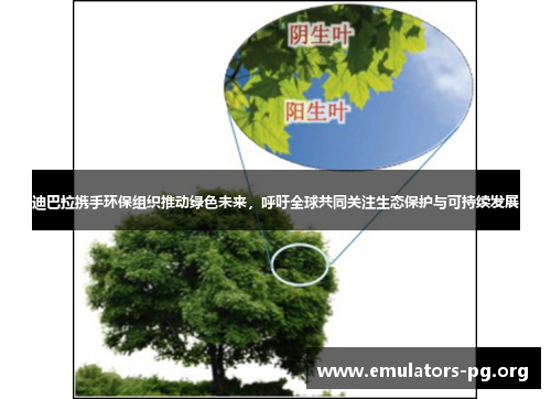 迪巴拉携手环保组织推动绿色未来,呼吁全球共同关注生态保护与可持续发展 迪巴拉携手环保组织推动绿色未来,呼吁全球共同关注生态保护与可持续发展