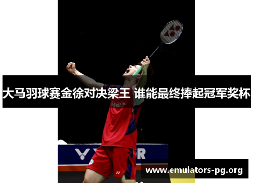 大马羽球赛金徐对决梁王 谁能最终捧起冠军奖杯