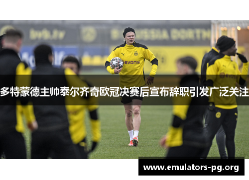 多特蒙德主帅泰尔齐奇欧冠决赛后宣布辞职引发广泛关注
