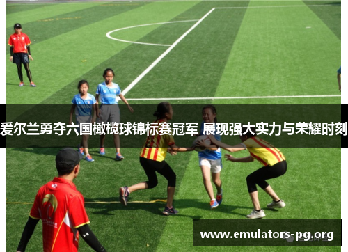 爱尔兰勇夺六国橄榄球锦标赛冠军 展现强大实力与荣耀时刻